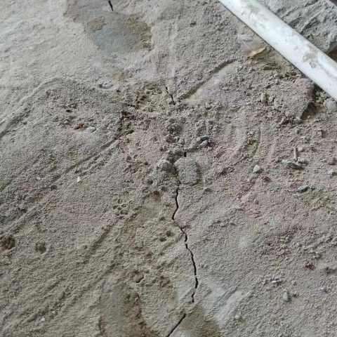 微信图片_20230531233527